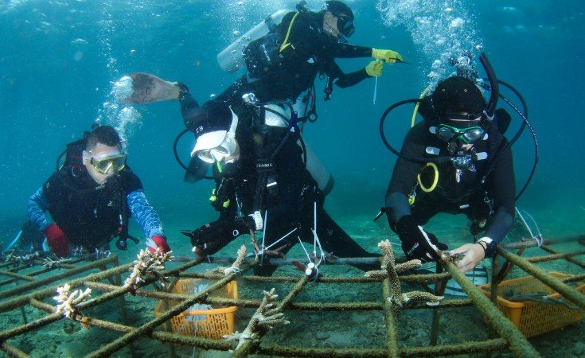 「气色堂膏方酒」你知道喝多少膏方酒能体验出效果吗?